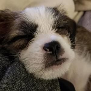 Meet your Posher, Terry